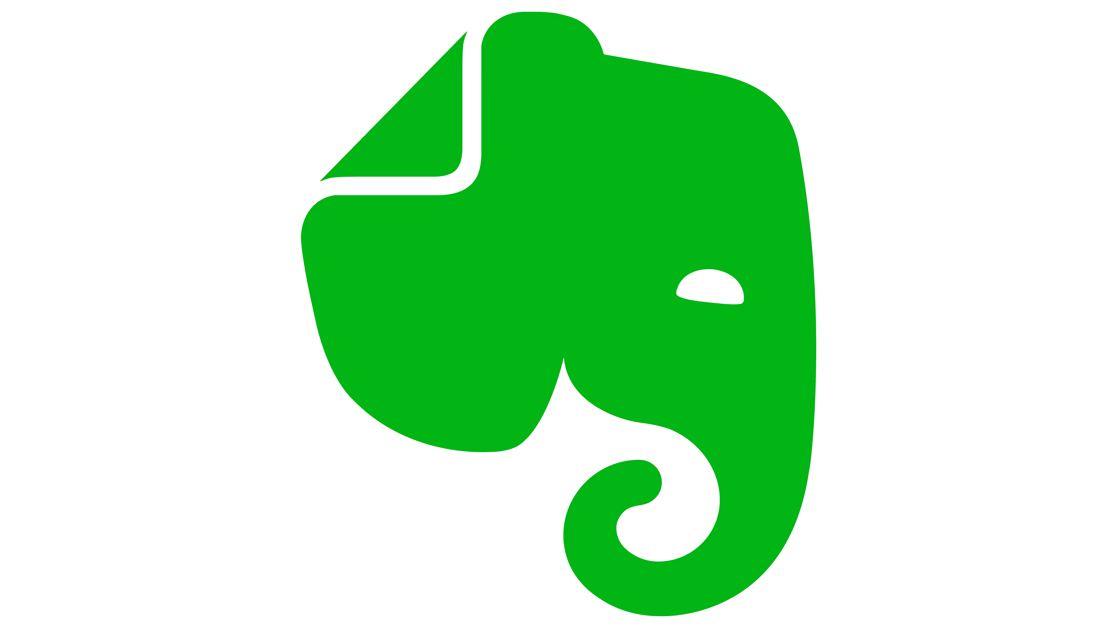 images/evernote.webp|100x100